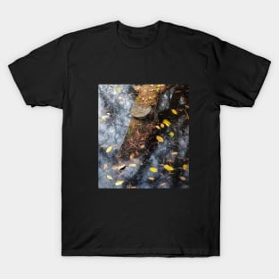 Ecstasy of Fall T-Shirt